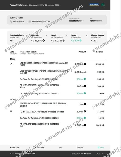 India Federal Bank account statement Word and PDF template, version 3
